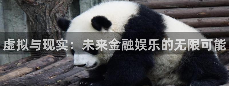 星空娱乐网站官网：虚拟与现实：未来金融娱乐的无限可能