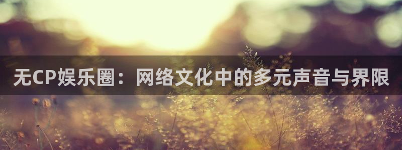 星空娱乐官网：无CP娱乐圈：网络文化中的多元声音与界限