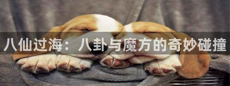 星空娱乐app下载安装：八仙过海：八卦与魔方的奇妙碰撞
