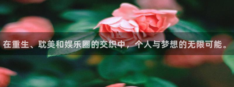 星空娱乐官网版：在重生、耽美和娱乐圈的交织中，个人与梦想的无限可能。