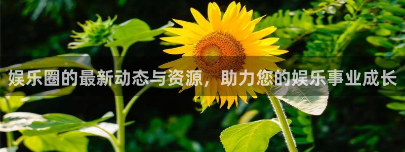 星空娱乐下载：娱乐圈的最新动态与资源，助力您的娱乐事业成长