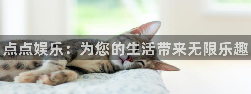 星空娱乐app下载安装：点点娱乐：为您的生活带来无限乐趣