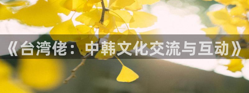 93299星空娱乐最新网址：《台湾佬：中韩文化交流与互动》
