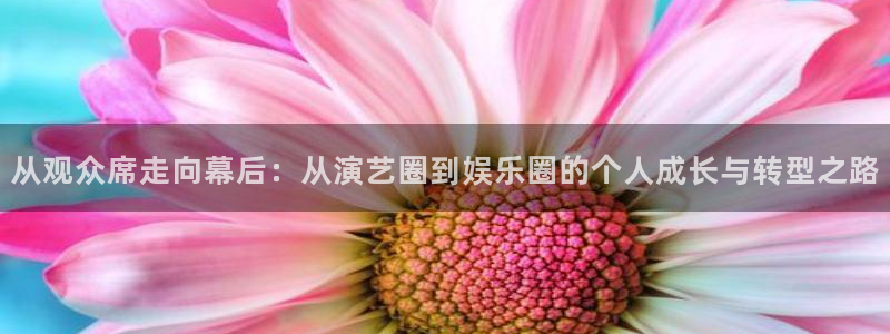 93299星空娱乐最新网址：从观众席走向幕后：从演艺圈到娱乐圈的个人成长与转型之路